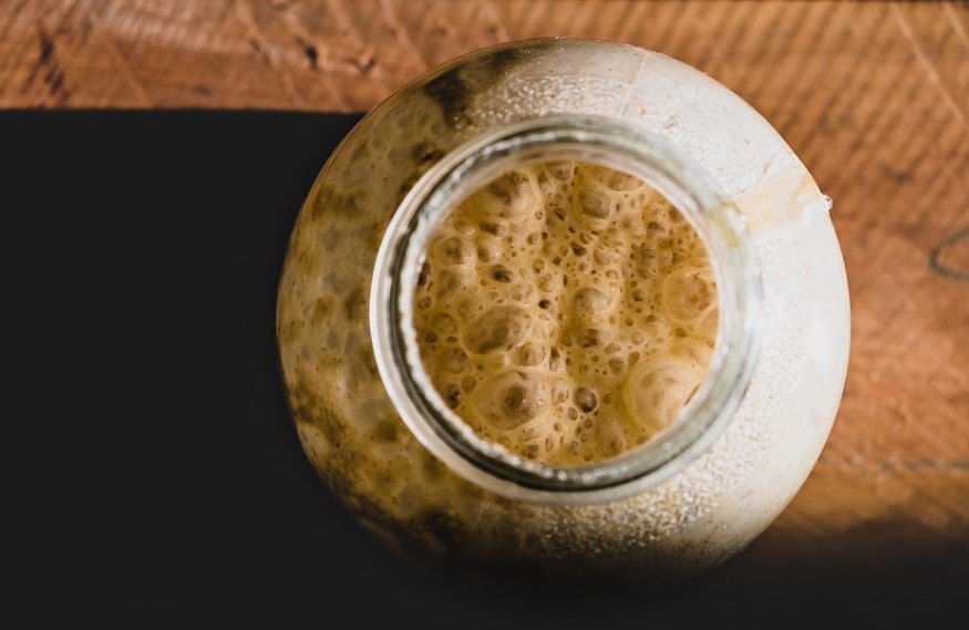 Sourdough starter
